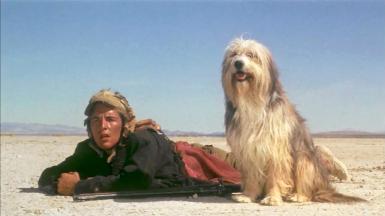 Cover art for A boy and his dog, a desert scenario on AI Dungeon