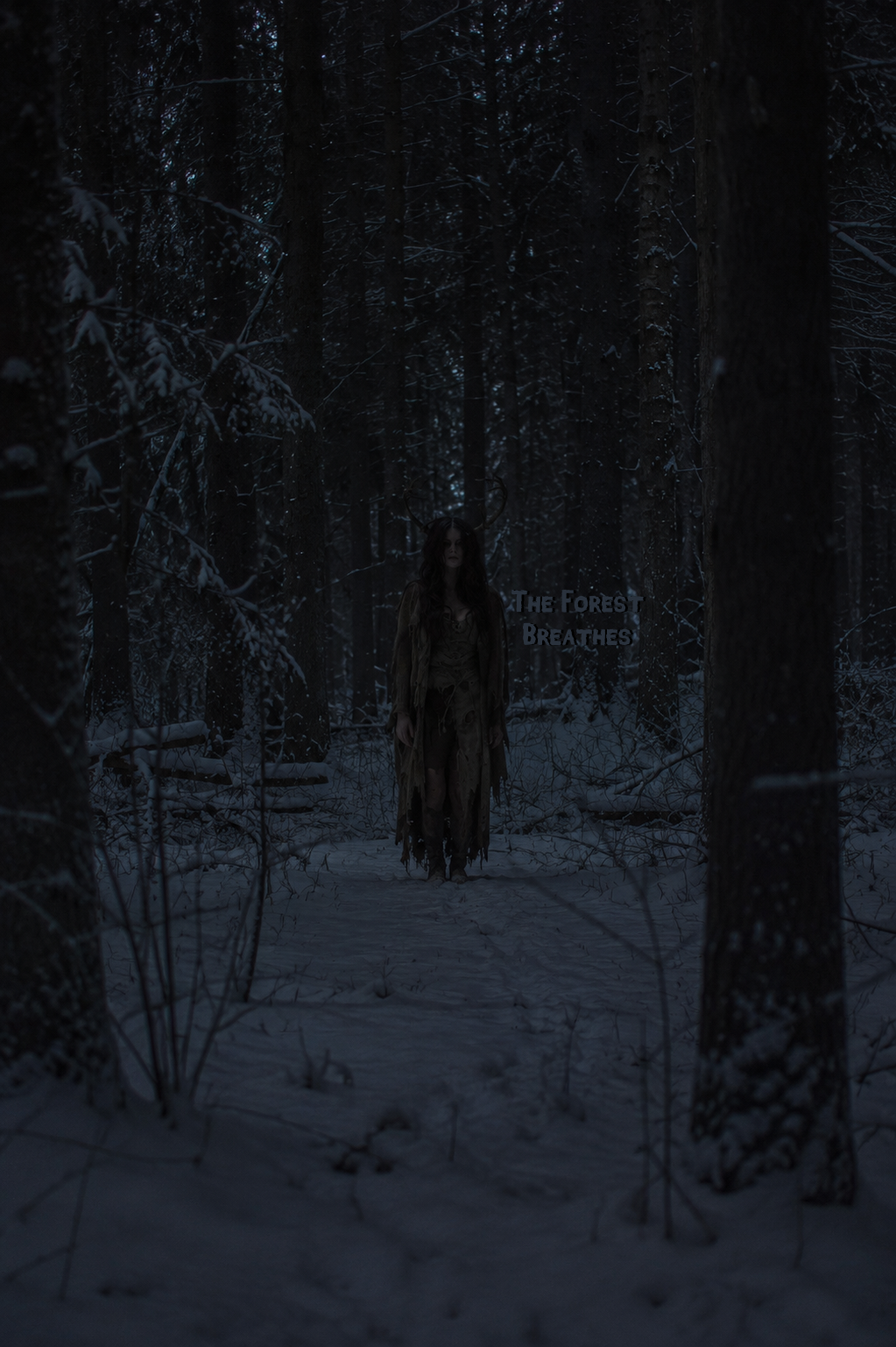 Cover art for The Forest Breathes, a minnesota scenario on AI Dungeon