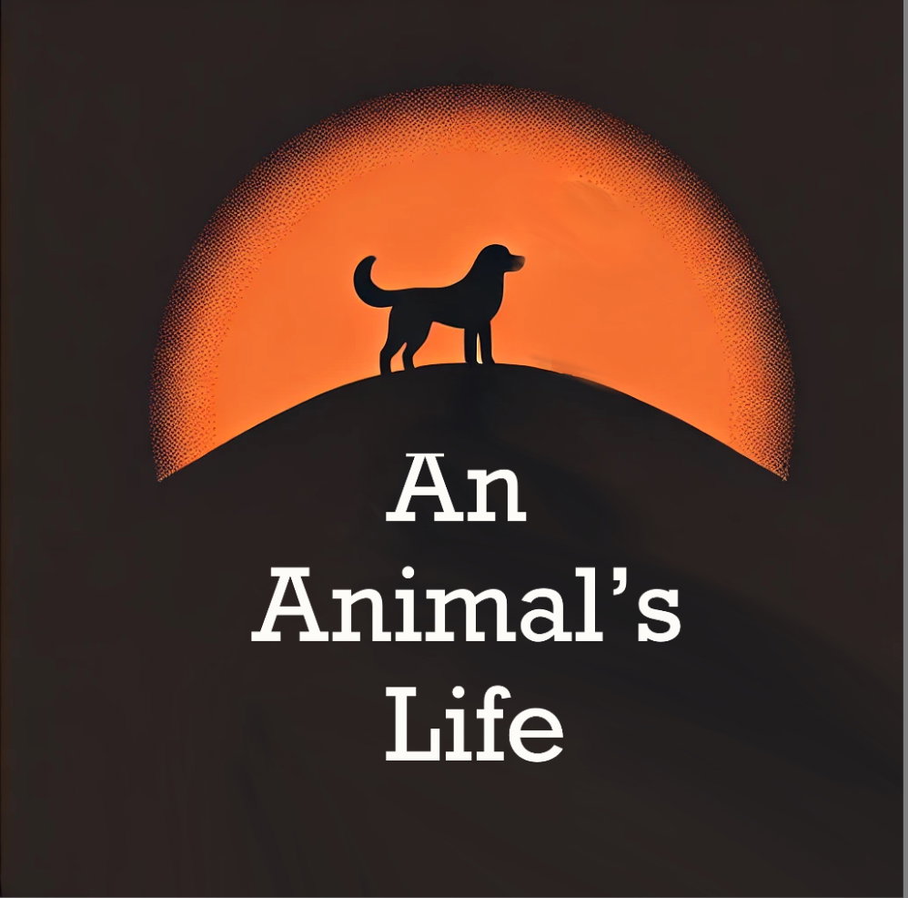 Cover art for An Animal’s Life , an animal life scenario on AI Dungeon