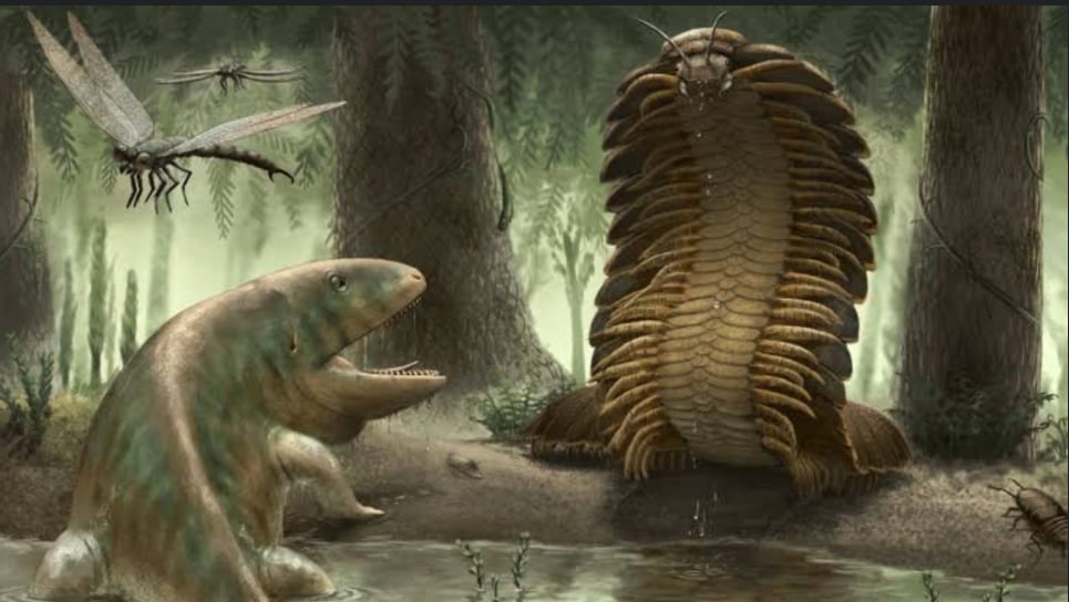 Cover art for Carboniferous Period, a prehistoric scenario on AI Dungeon