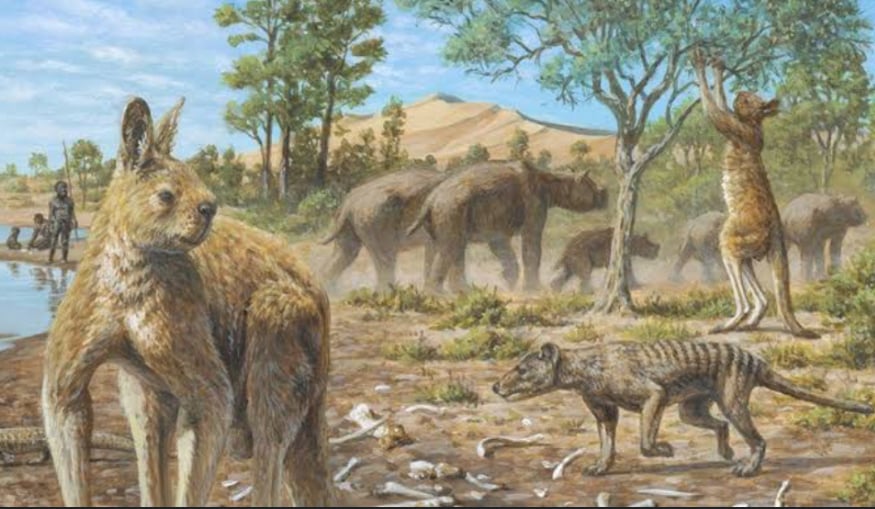 Cover art for Prehistoric Australia, an australia scenario on AI Dungeon
