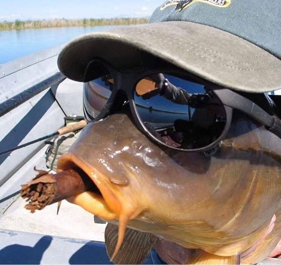 Cover art for Fishing Simulator 2 on AI Dungeon