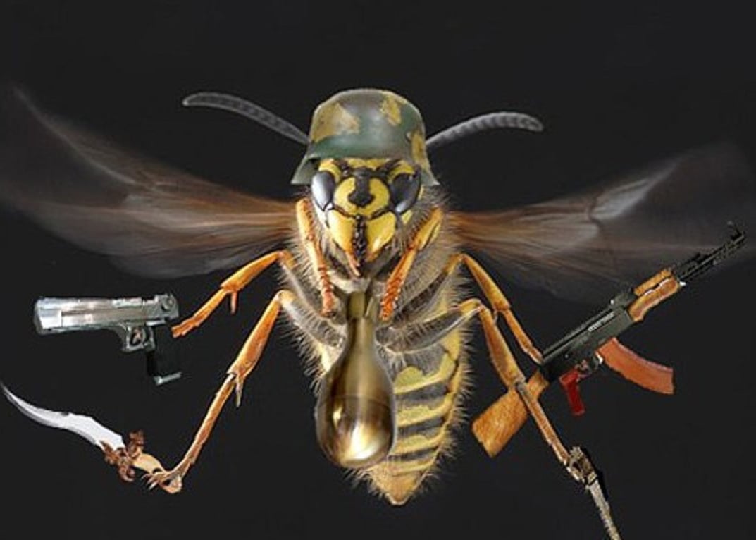 Cover art for Bee War 2, a bee war 2 scenario on AI Dungeon