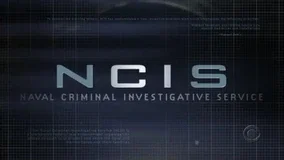 Cover art for NCIS Universe on AI Dungeon
