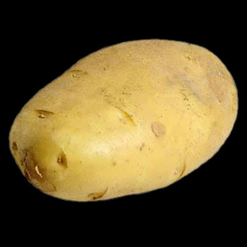 Cover art for The bored Potato, a potato scenario on AI Dungeon