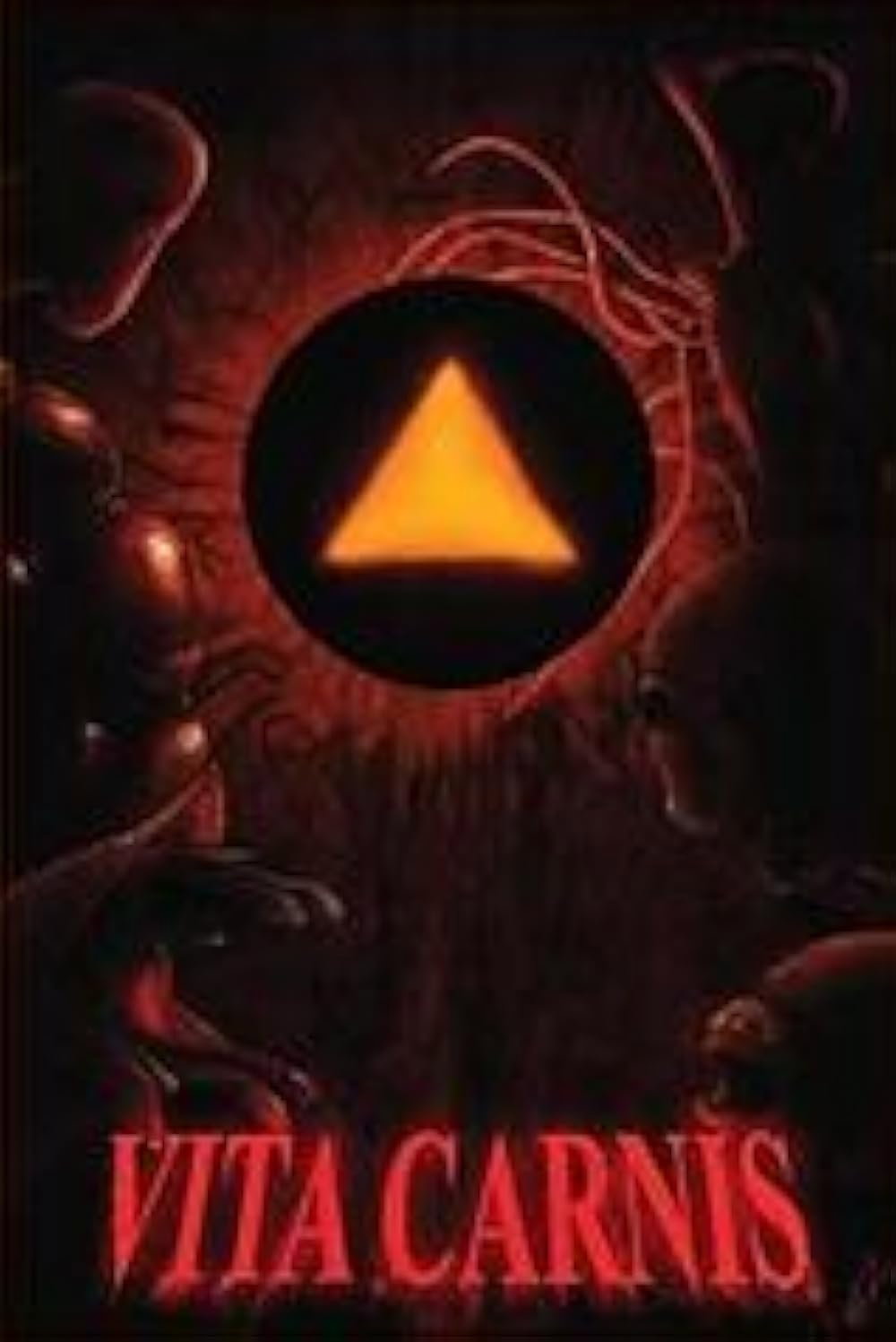 Cover art for Vita Carnis on AI Dungeon