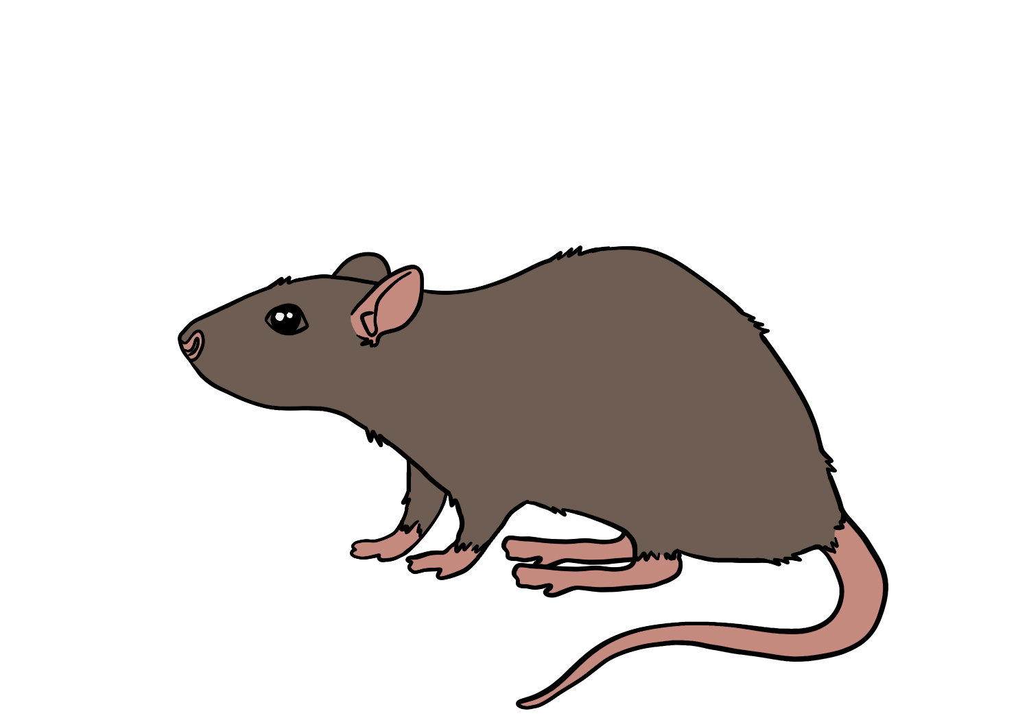 Cover art for You have a pet Rat, a pet scenario on AI Dungeon