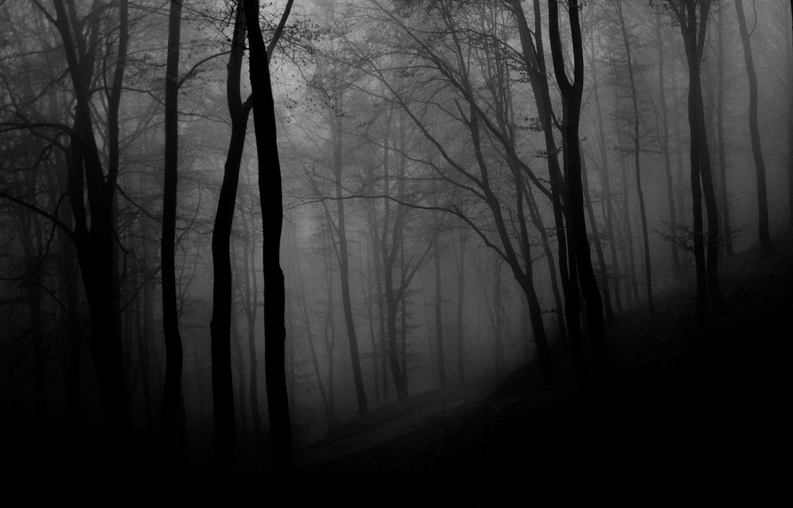 Cover art for The Hunger in The Pines on AI Dungeon